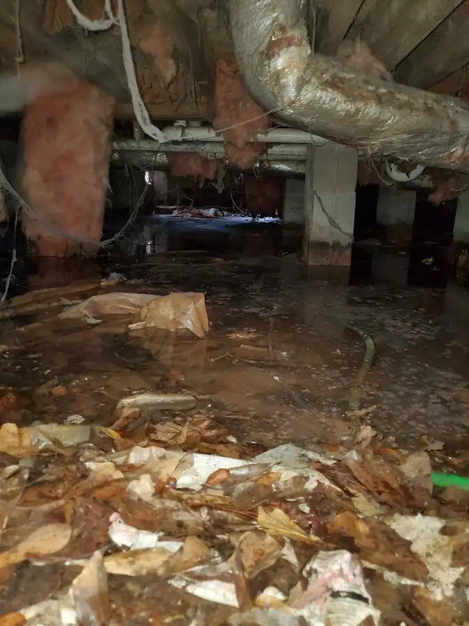 Crawl space flood assessment for Leak Detection & Repair in Coldwater