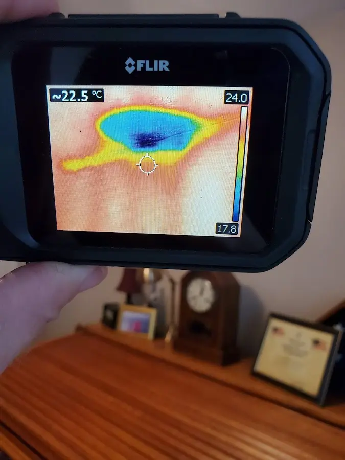 Thermal imaging inspection for water damage in Coldwater
