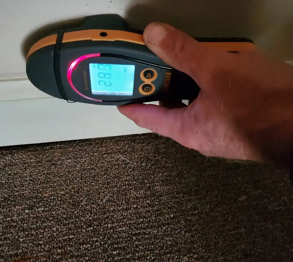 Moisture detection at baseboard during Mold Inspection & Testing in Coldwater